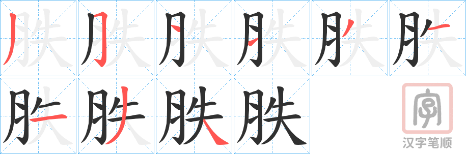 《胅》的笔顺分步演示（一笔一画写字）