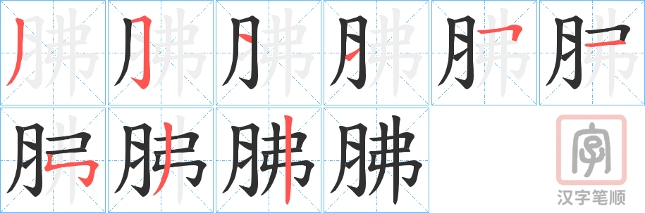 《胇》的笔顺分步演示（一笔一画写字）
