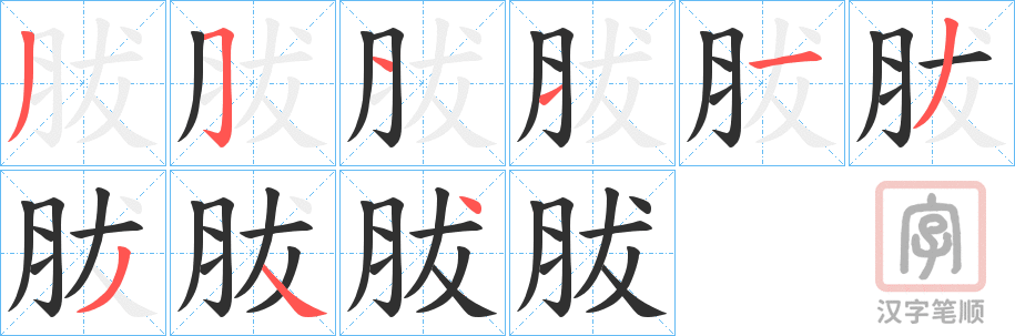 《胈》的笔顺分步演示（一笔一画写字）