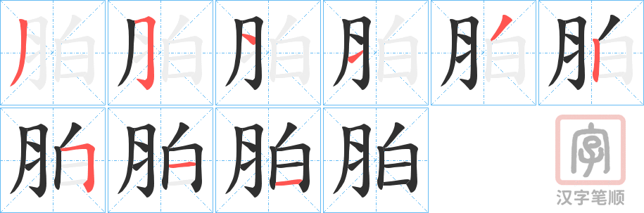 《胉》的笔顺分步演示（一笔一画写字）