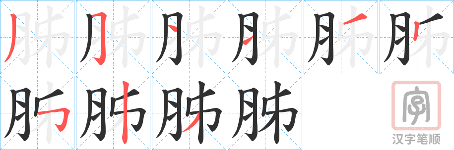 《胏》的笔顺分步演示（一笔一画写字）