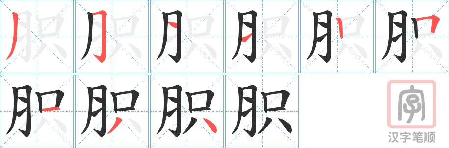 《胑》的笔顺分步演示（一笔一画写字）