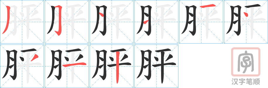 《胓》的笔顺分步演示（一笔一画写字）