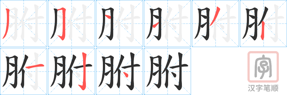 《胕》的笔顺分步演示（一笔一画写字）