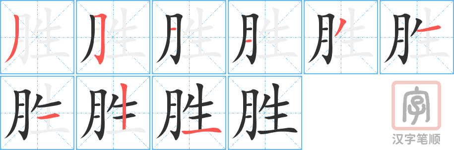 《胜》的笔顺分步演示（一笔一画写字）