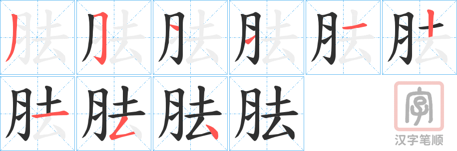 《胠》的笔顺分步演示（一笔一画写字）