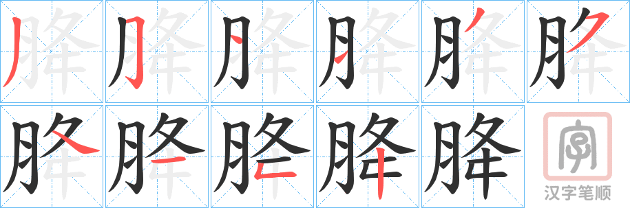 《胮》的笔顺分步演示（一笔一画写字）