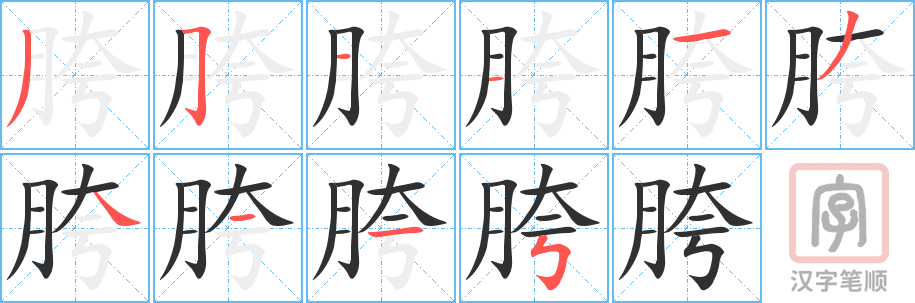 《胯》的笔顺分步演示（一笔一画写字）