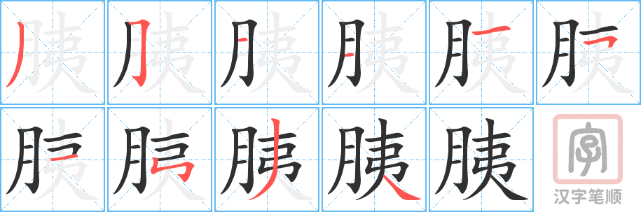 《胰》的笔顺分步演示（一笔一画写字）