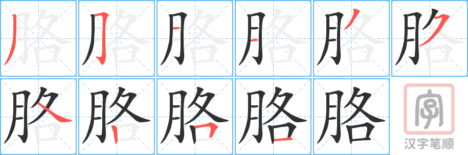 《胳》的笔顺分步演示（一笔一画写字）