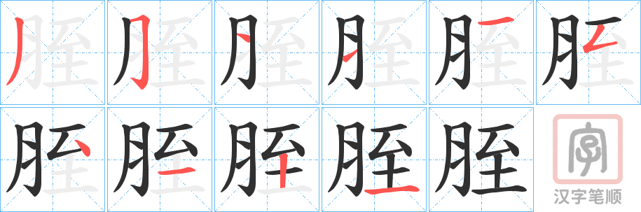 《胵》的笔顺分步演示（一笔一画写字）
