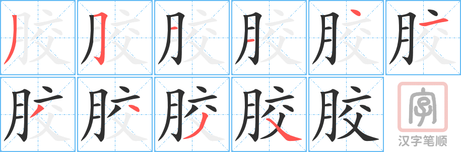《胶》的笔顺分步演示（一笔一画写字）