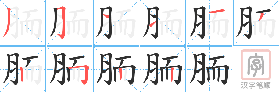 《胹》的笔顺分步演示（一笔一画写字）