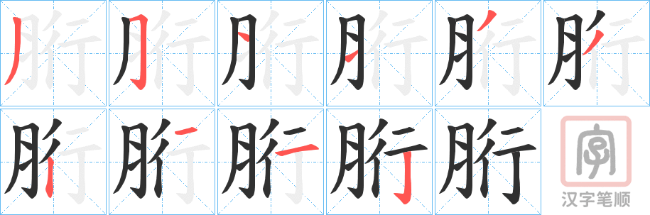 《胻》的笔顺分步演示（一笔一画写字）