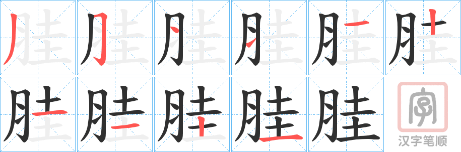 《胿》的笔顺分步演示（一笔一画写字）