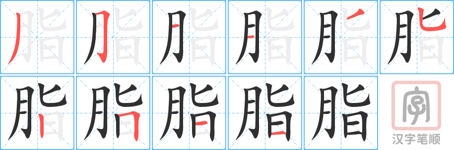 《脂》的笔顺分步演示（一笔一画写字）