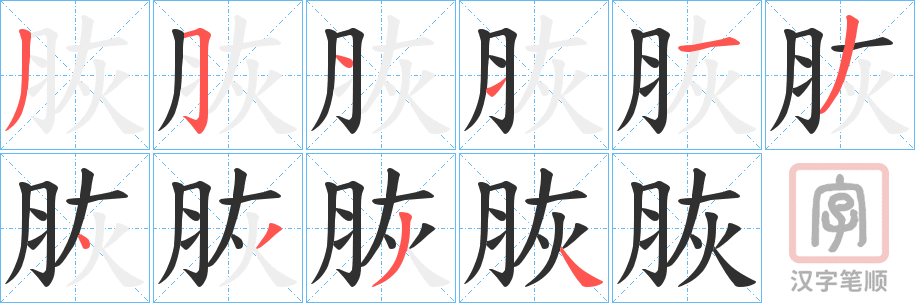 《脄》的笔顺分步演示（一笔一画写字）