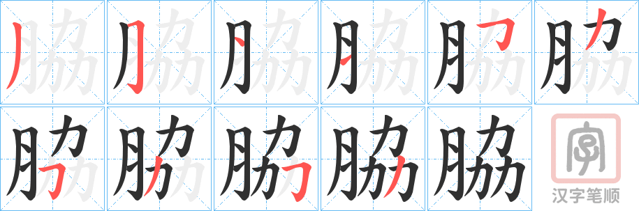 《脇》的笔顺分步演示（一笔一画写字）