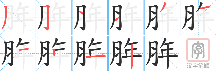 《脌》的笔顺分步演示（一笔一画写字）