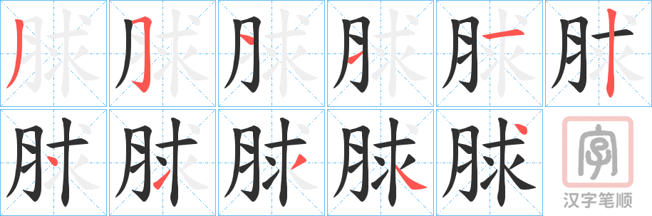 《脙》的笔顺分步演示（一笔一画写字）