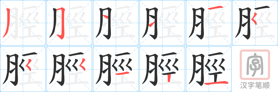 《脛》的笔顺分步演示（一笔一画写字）