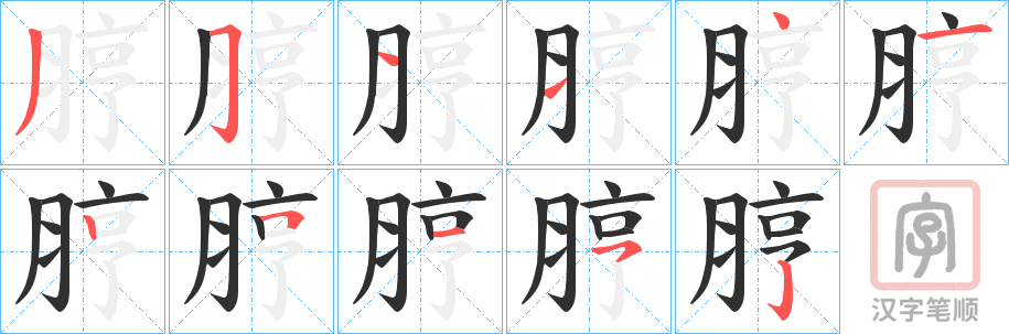 《脝》的笔顺分步演示（一笔一画写字）