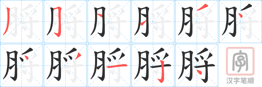 《脟》的笔顺分步演示（一笔一画写字）