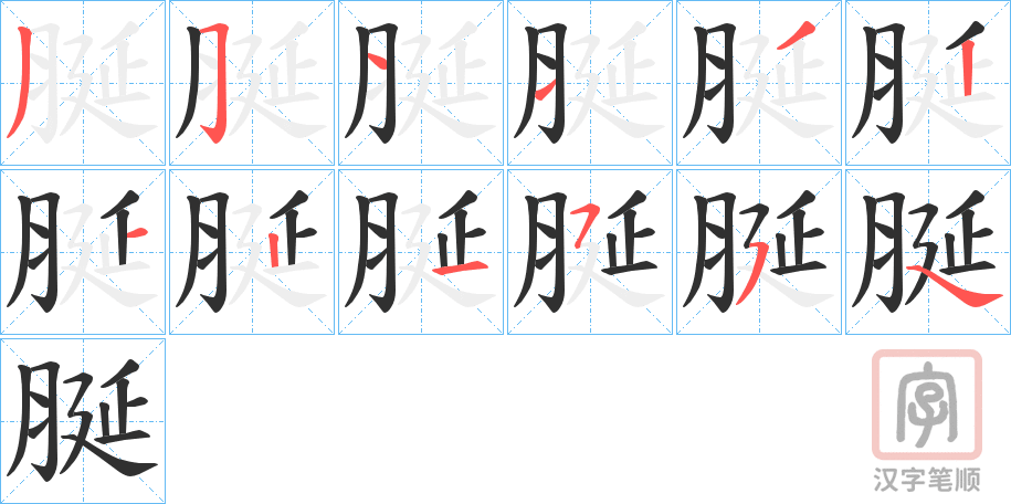 《脠》的笔顺分步演示（一笔一画写字）