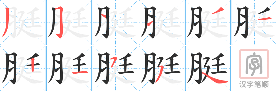 《脡》的笔顺分步演示（一笔一画写字）