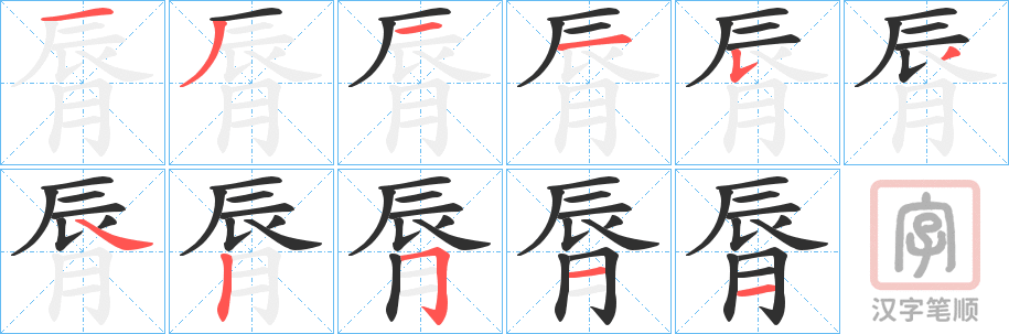 《脣》的笔顺分步演示（一笔一画写字）