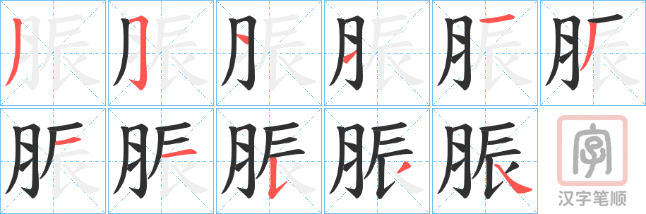 《脤》的笔顺分步演示（一笔一画写字）