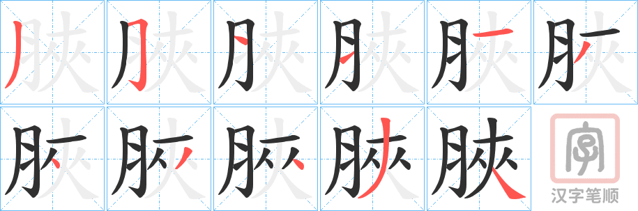 《脥》的笔顺分步演示（一笔一画写字）