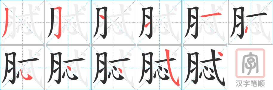 《脦》的笔顺分步演示（一笔一画写字）