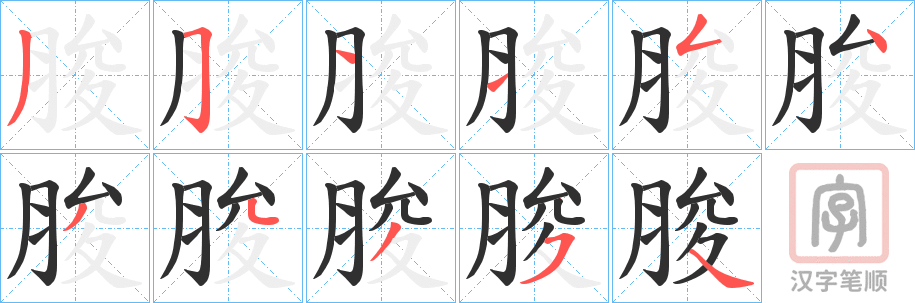 《脧》的笔顺分步演示（一笔一画写字）