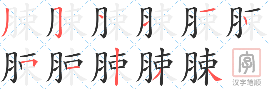 《脨》的笔顺分步演示（一笔一画写字）
