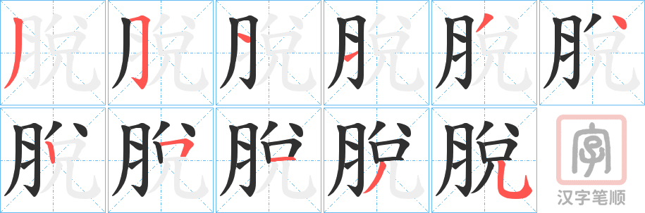 《脫》的笔顺分步演示（一笔一画写字）