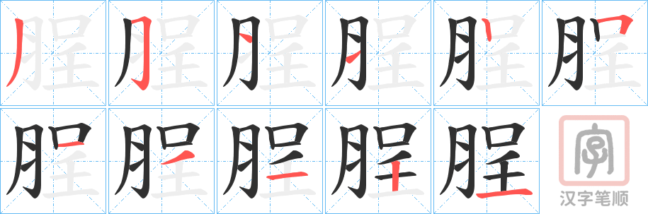 《脭》的笔顺分步演示（一笔一画写字）