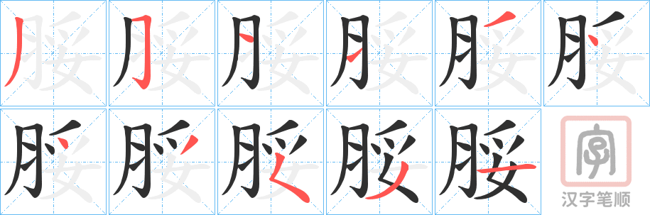 《脮》的笔顺分步演示（一笔一画写字）