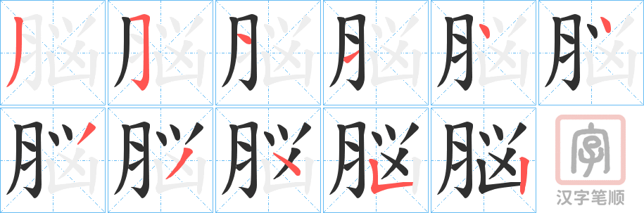 《脳》的笔顺分步演示（一笔一画写字）