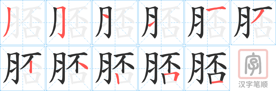 《脴》的笔顺分步演示（一笔一画写字）