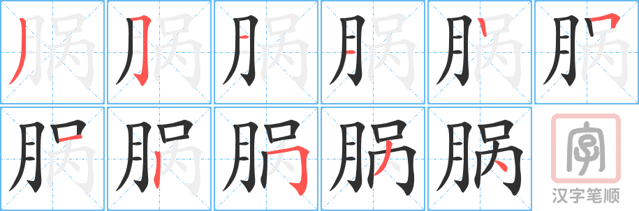 《脶》的笔顺分步演示（一笔一画写字）