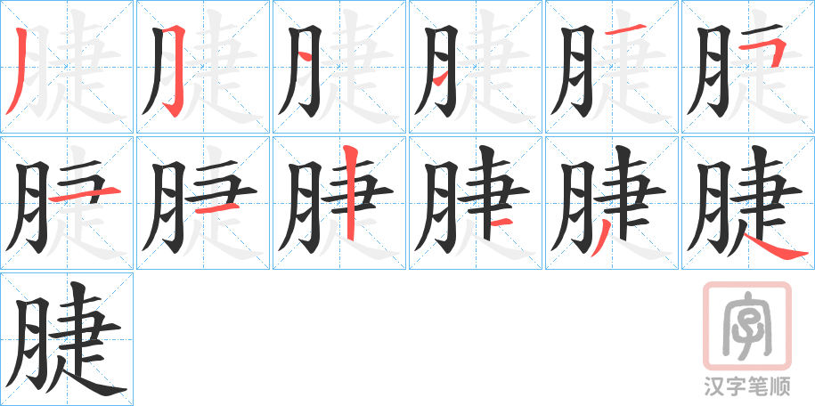 《脻》的笔顺分步演示（一笔一画写字）