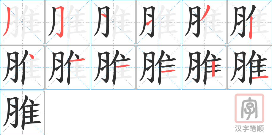 《脽》的笔顺分步演示（一笔一画写字）