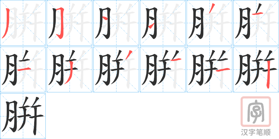 《腁》的笔顺分步演示（一笔一画写字）