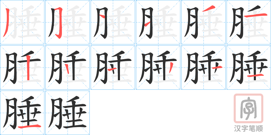 《腄》的笔顺分步演示（一笔一画写字）