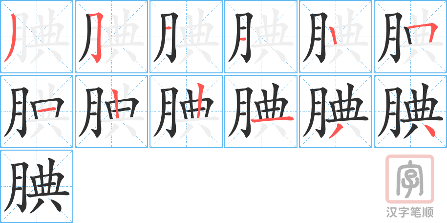 《腆》的笔顺分步演示（一笔一画写字）