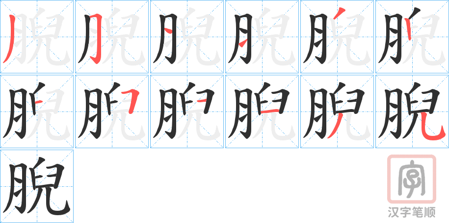 《腉》的笔顺分步演示（一笔一画写字）