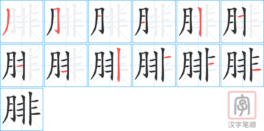 《腓》的笔顺分步演示（一笔一画写字）