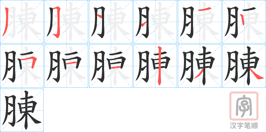 《腖》的笔顺分步演示（一笔一画写字）