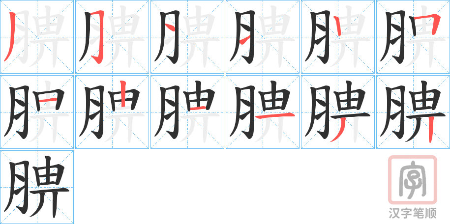 《腗》的笔顺分步演示（一笔一画写字）